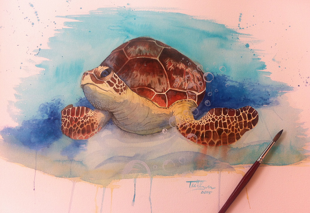 sea turtle